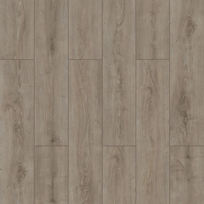 ProfiTrend Aqua Selection WINGS Parrot laminált padló FW007