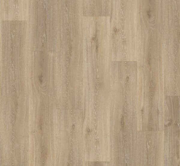 mess2.jpg mess2.jpg