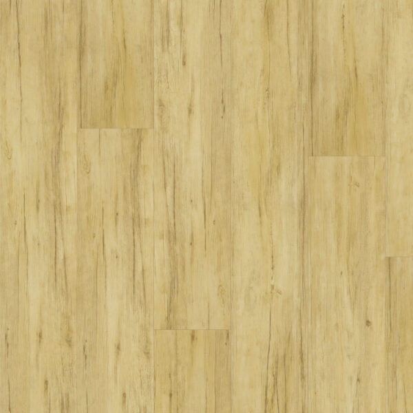 THX-PRO-WOOD_3600x2700mm_14173-1_pracovni.indd