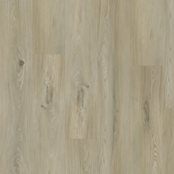 THX-PRO-WOOD_3600x2700mm_14181-1_pracovni.indd THX-PRO-WOOD_3600x2700mm_14181-1_pracovni.indd