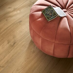 lic2-1.jpeg