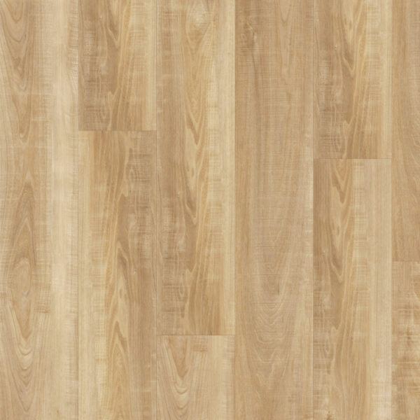 THX-PRO-WOOD_3600x2700mm_14145-1_pracovni.indd THX-PRO-WOOD_3600x2700mm_14145-1_pracovni.indd
