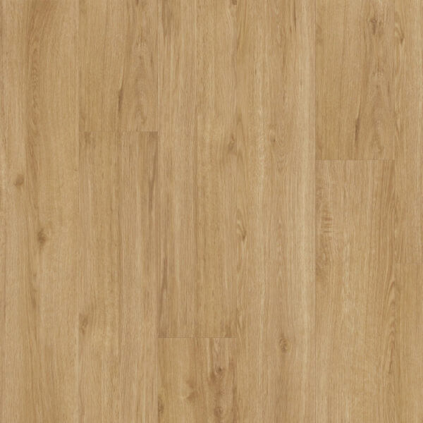 THX-PRO-WOOD_3600x2700mm_14113-2_pracovni.indd