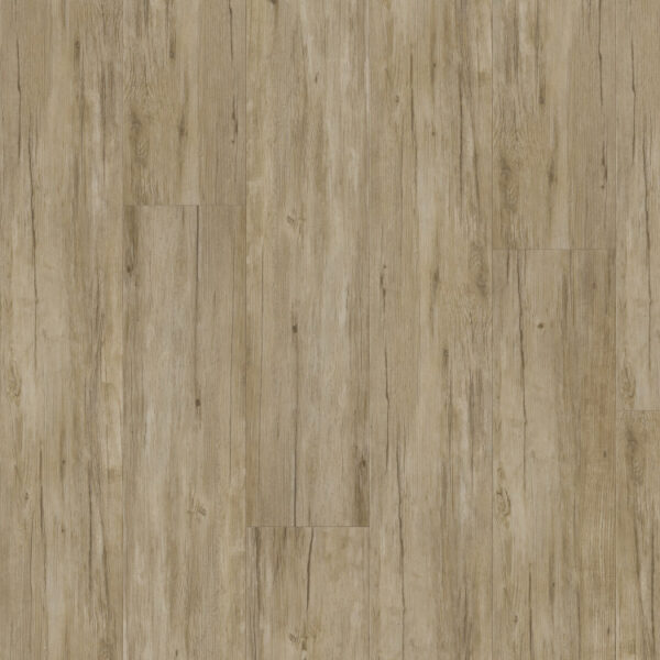 THX-PRO-WOOD_3600x2700mm_14172-1_pracovni.indd THX-PRO-WOOD_3600x2700mm_14172-1_pracovni.indd