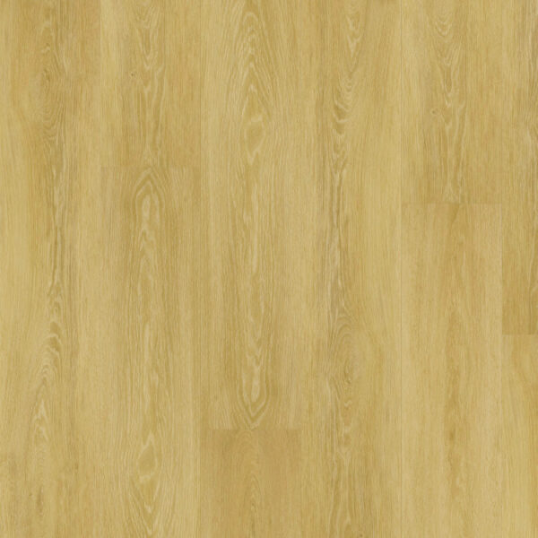 THX-PRO-WOOD_3600x2700mm_14180-1_pracovni.indd THX-PRO-WOOD_3600x2700mm_14180-1_pracovni.indd