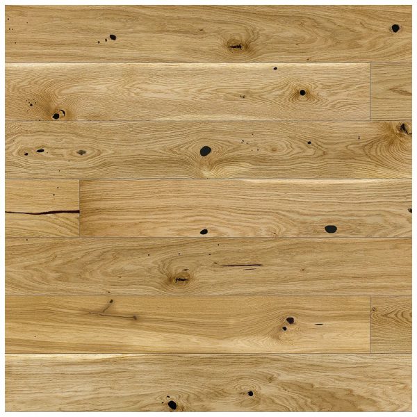 cinni1 cinni1