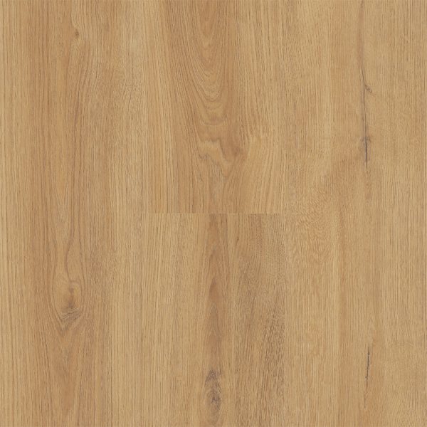 prad1
