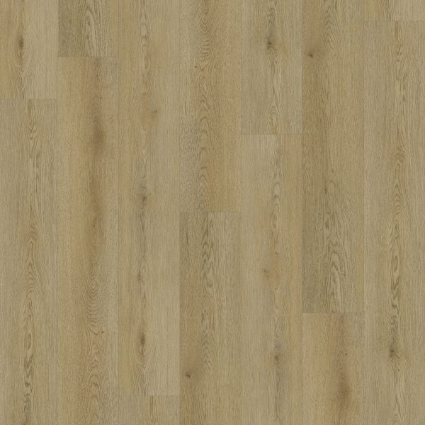terra1